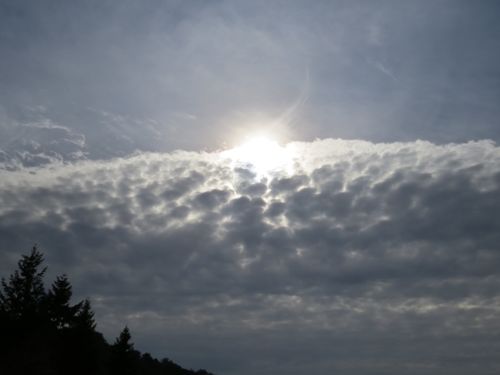 Altocumulus stratiformis opacus