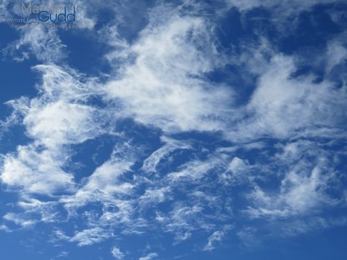 Altocumulus stratiformis lacunosus (Netzform / net-like structure)