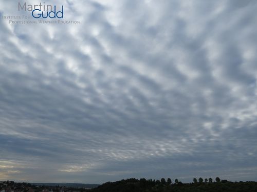 Altocumulus stratiformis opacus undulatus